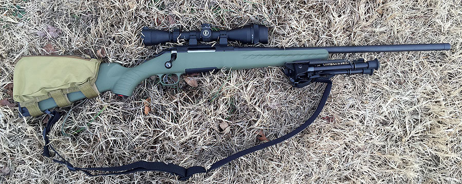 Rifle, scope, and bipod for under $900? Not bad. 