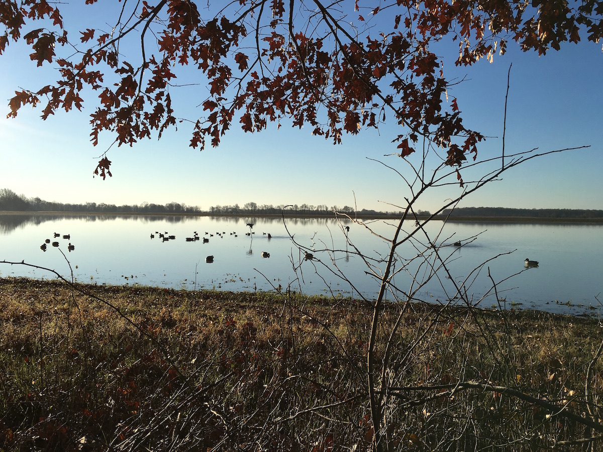 Waterfowling can be a rewarding experience, but it requires some preparation work and knowledge to be successful.