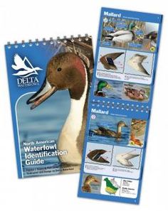 The Delta Waterfowl North American Waterfowl Identification guide is intended to help you ID your targets.