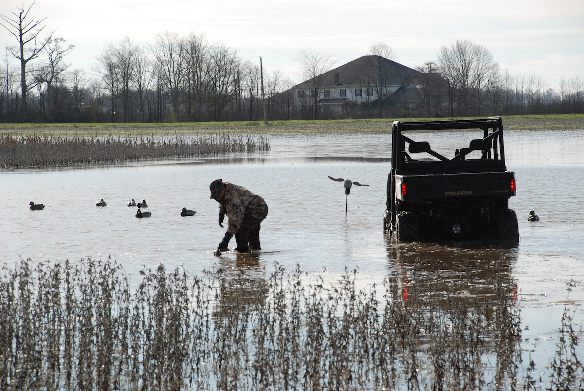 Setting out decoys is an important part of the waterfowling process.