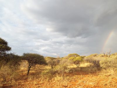 The author's safari was in the beautiful Limpopo Province in South Africa.