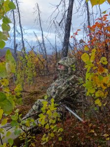 Turning Clothing Into Gear — DIY Moose Hunting with Sitka Subalpine