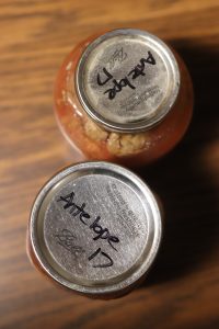 Field to Table: Prepping Wild Game In the Off Season- Canned Antelope