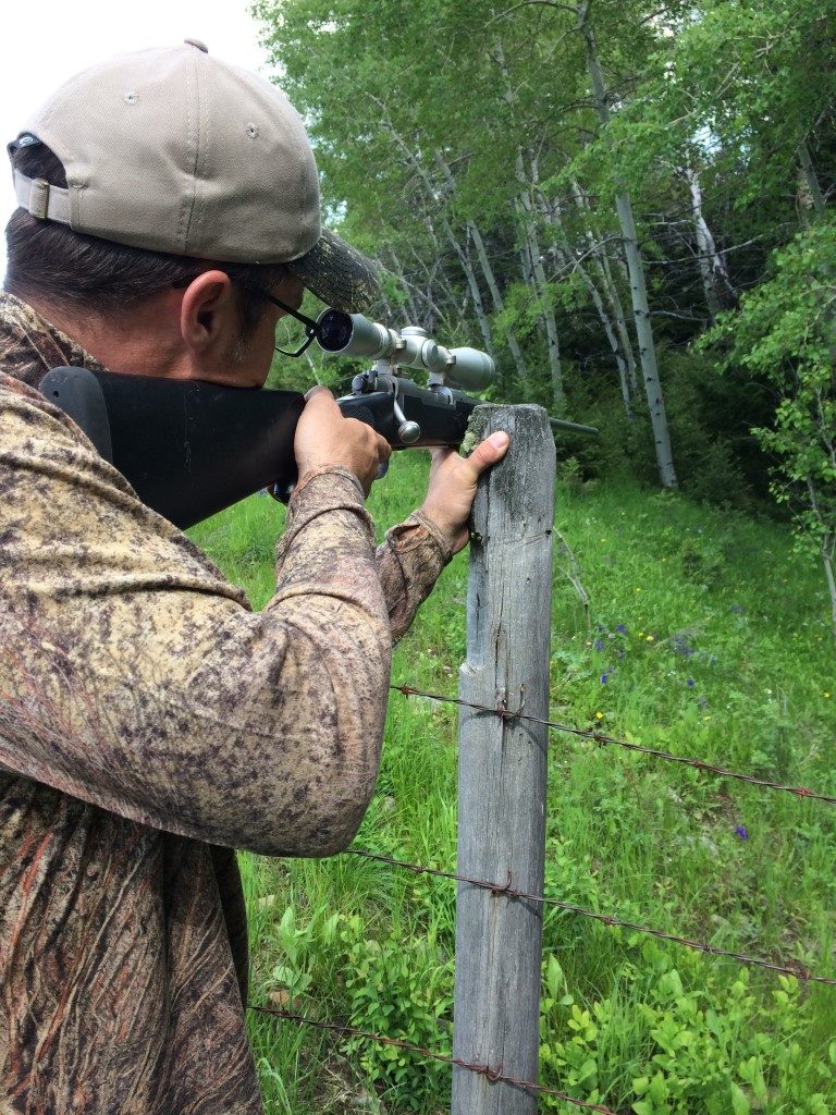 Hunting Using Nature's Benchrest: Ready, Aim, Fire