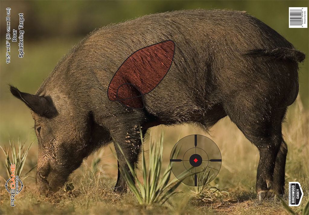 The Indomitable .40 S&W Goes Hog Hunting