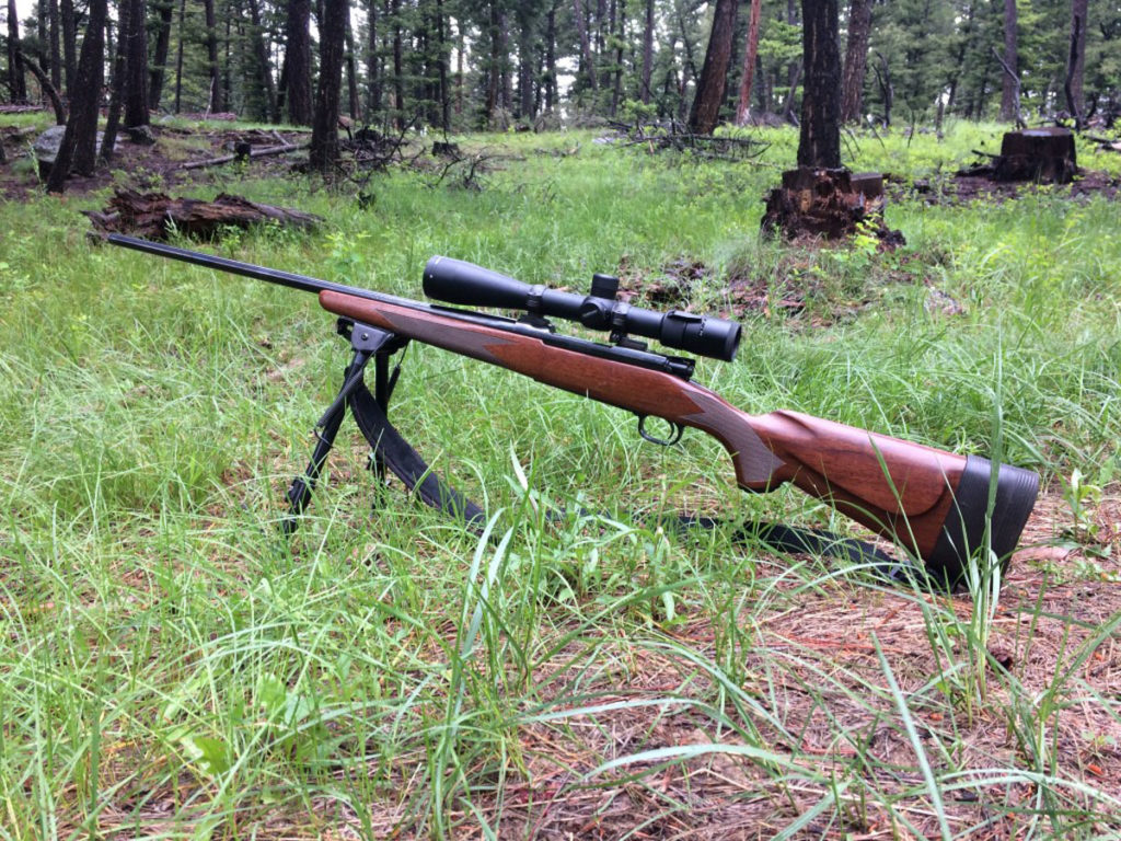 Setting Up A Rifle For An Elk Hunt