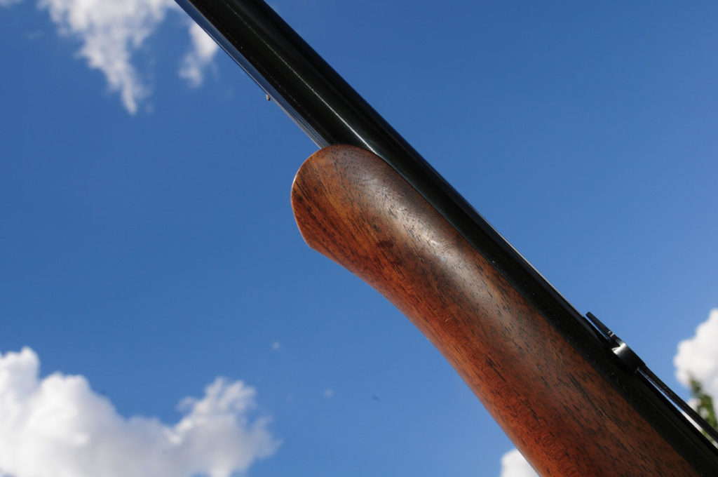 1895: The Last Lever-Action