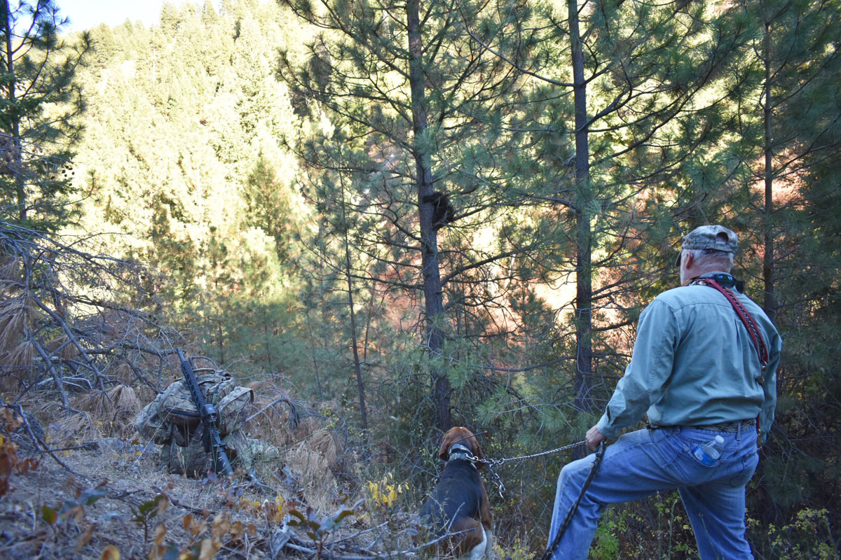 Hunting Black Bear in Western Idaho with Hounds