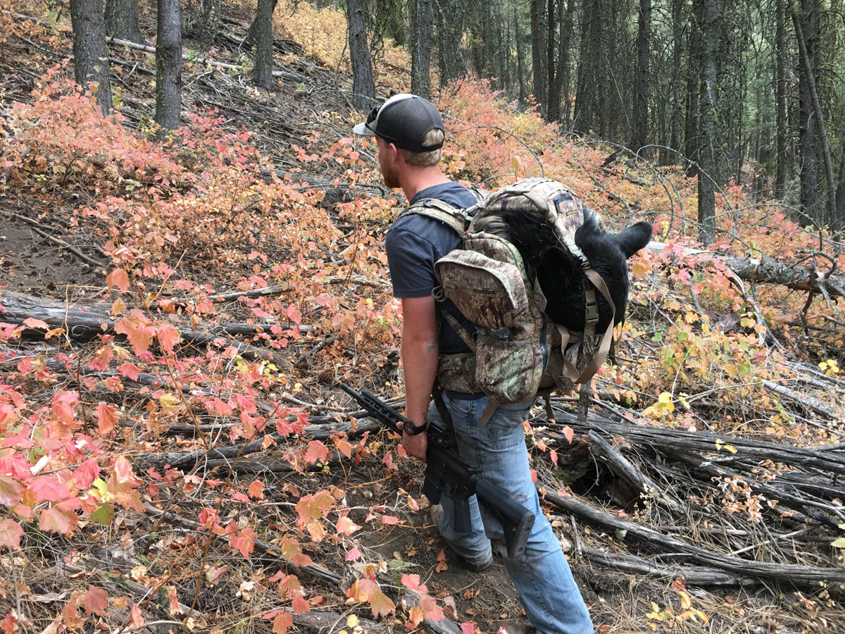 Hunting Black Bear in Western Idaho with Hounds