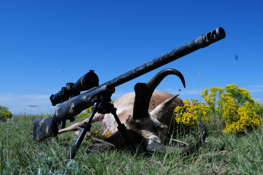 Long Range Hunting Do's & Don'ts