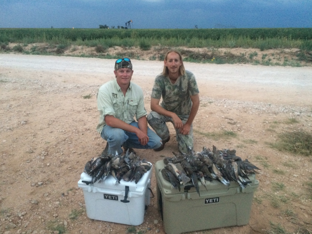 Sweat, Blood, and Birds: 5 Tips for September Dove Fields