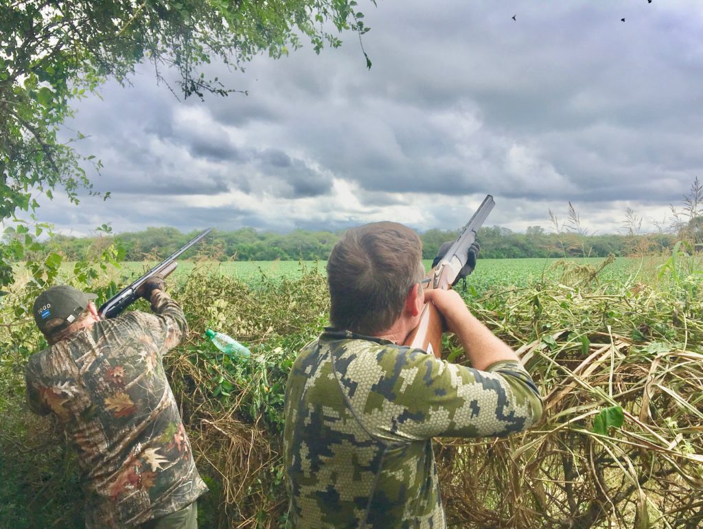 Dove for a Lifetime: Argentina Bucket List Hunt