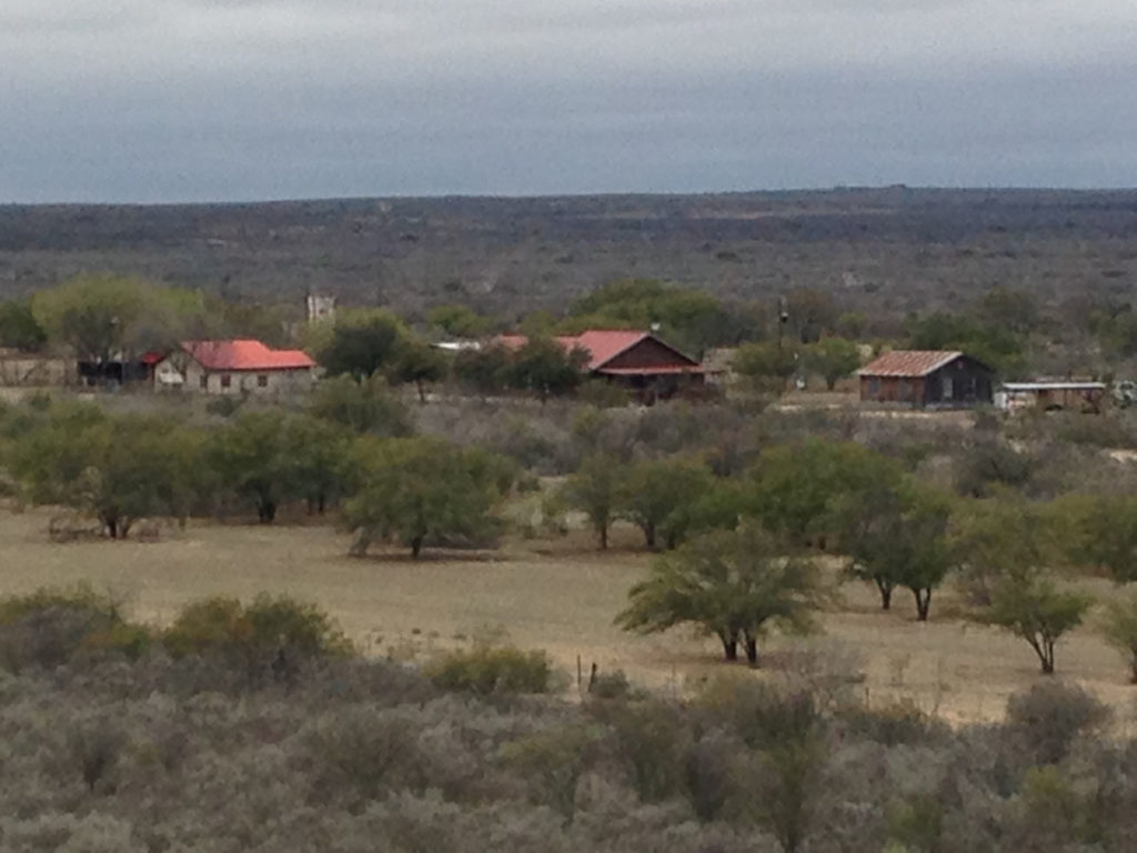 Blackbuck Antelope: Hunting a Native of India in South Texas