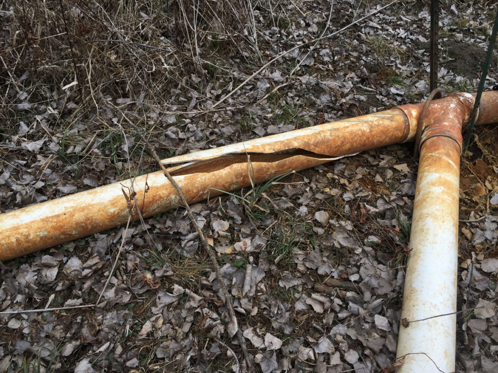 Getting Your Wetland Ready for Fall 2019