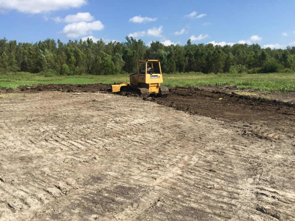 Getting Your Wetland Ready for Fall 2019