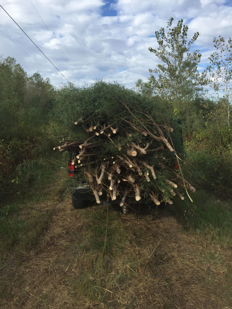 DIY - Building Waterfowl Blinds: Pit and Surface