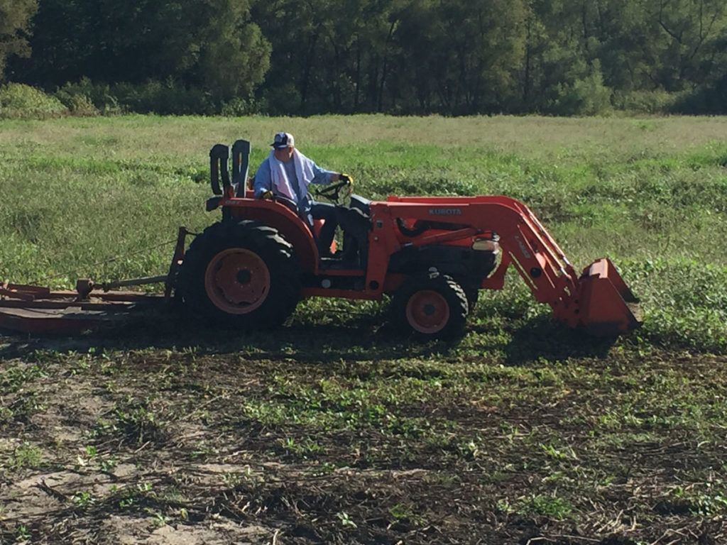 Getting Your Wetland Ready for Fall 2019