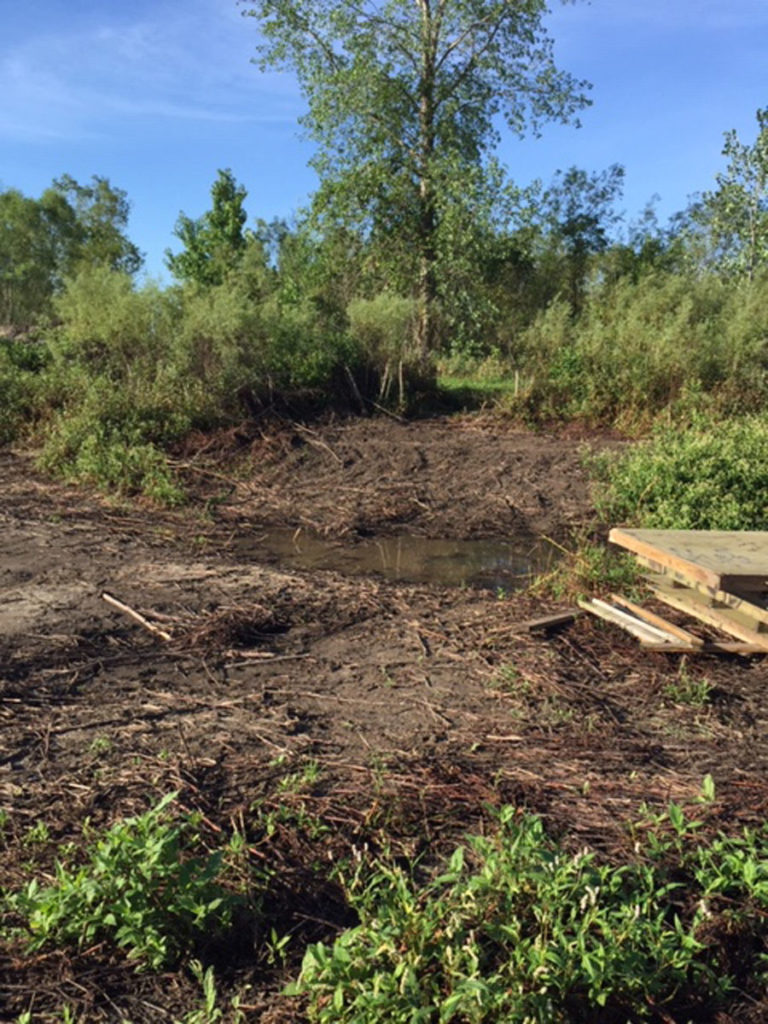 DIY - Building Waterfowl Blinds: Pit and Surface