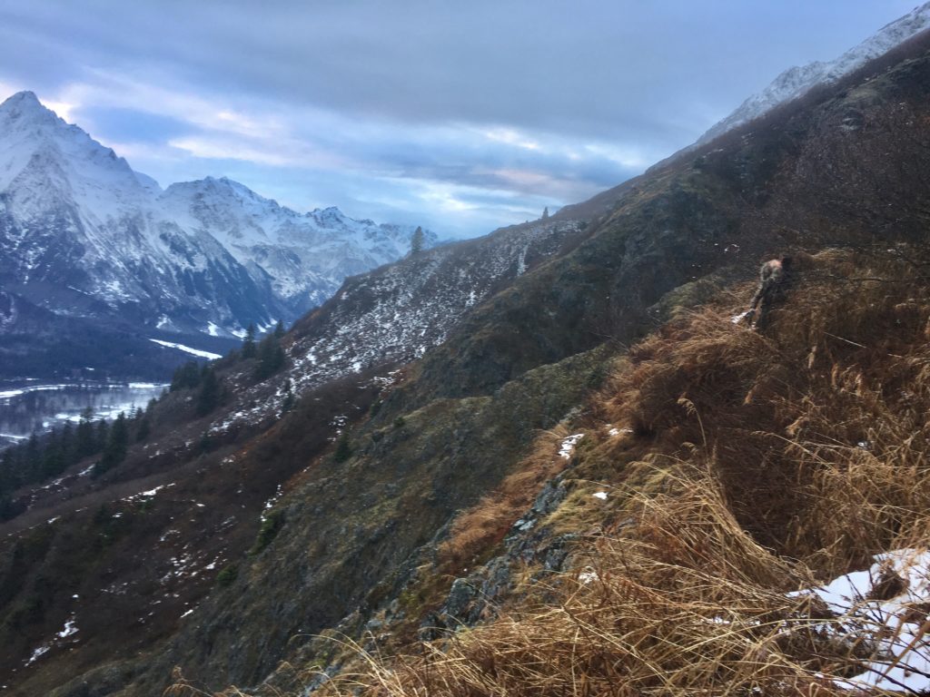 Alaskan Mountain Goat Hunt: Cold, Wet and Exhausted