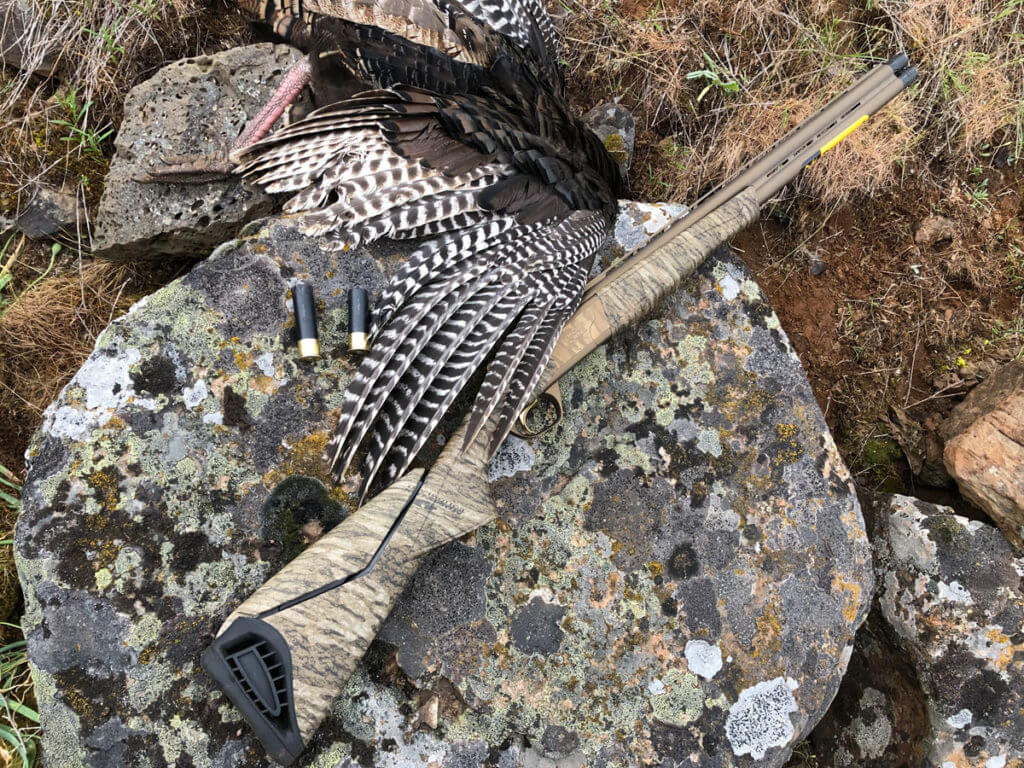 BROWNING AMMO TSS TUNGSTEN TURKEY AMMO REVIEW