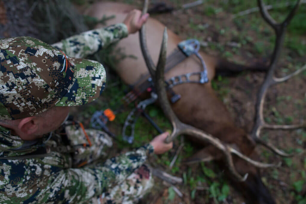 5 Big Mistakes Elk Hunters Make