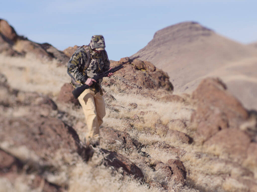 It's Chukar Time