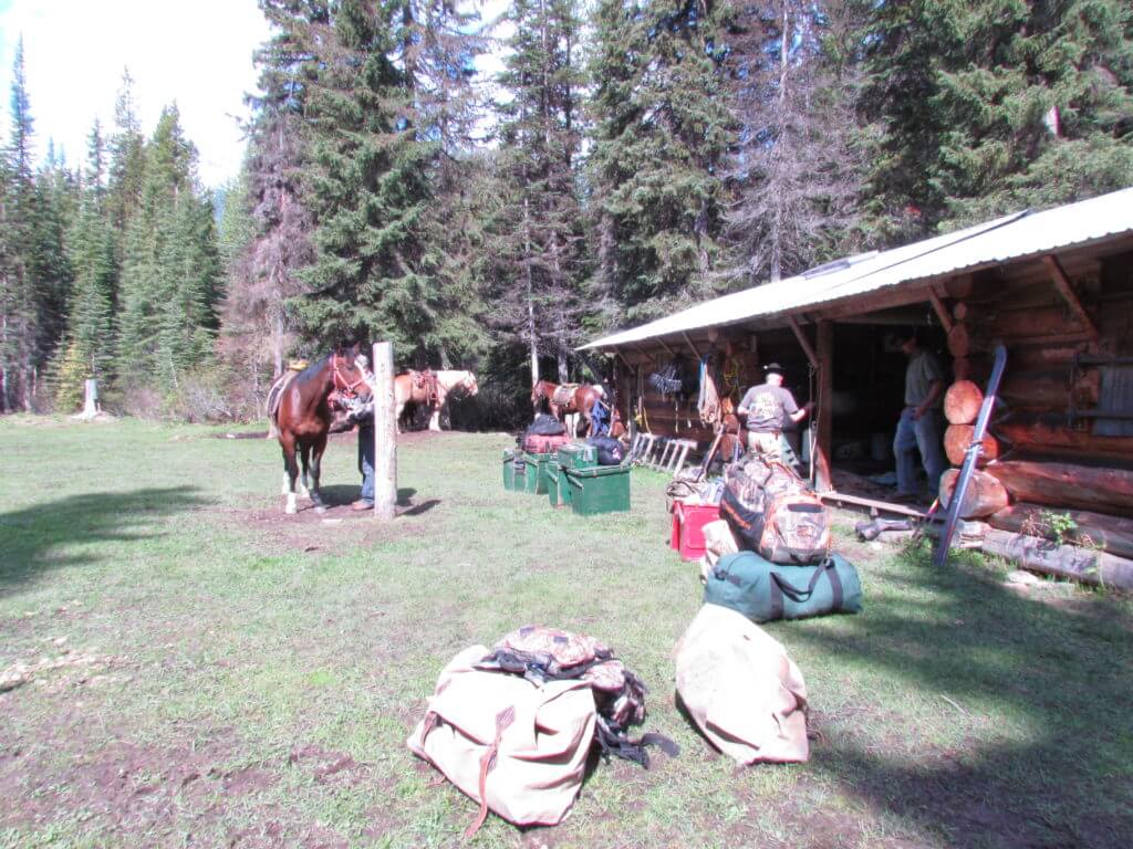 5 Tips For Packing Gear With Horses & Mules