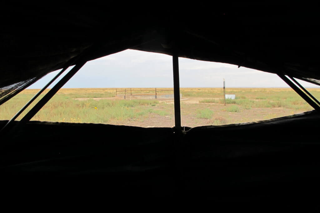 Pronghorn Part III: Setting The Blind