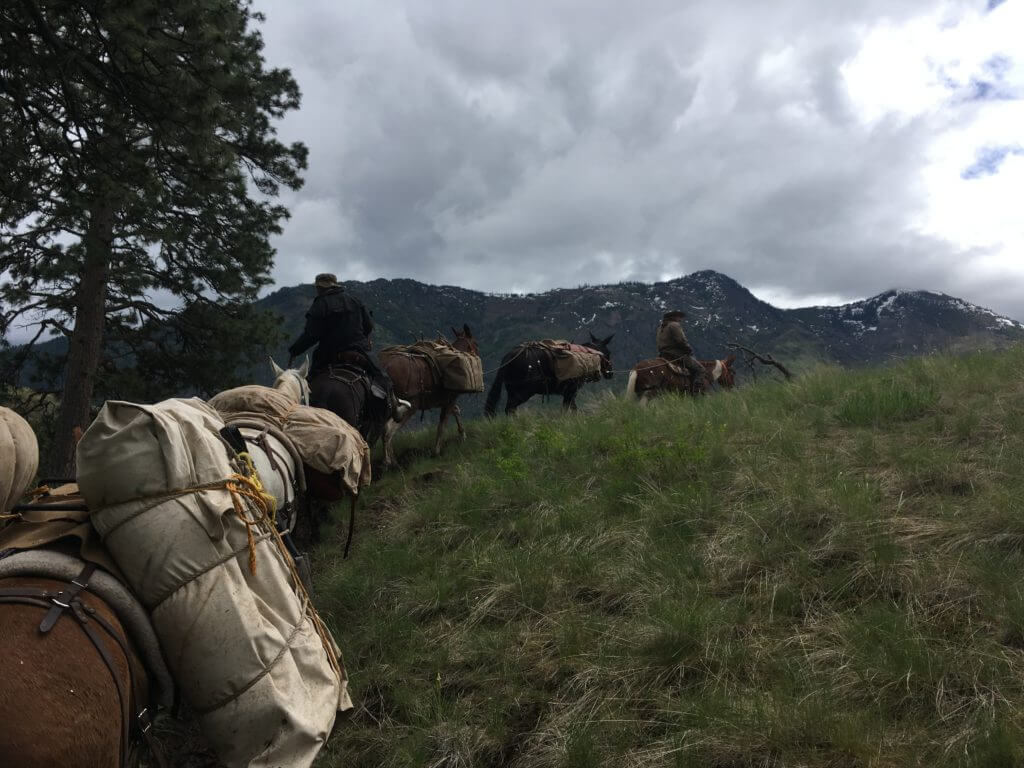 5 Tips For Packing Gear With Horses & Mules