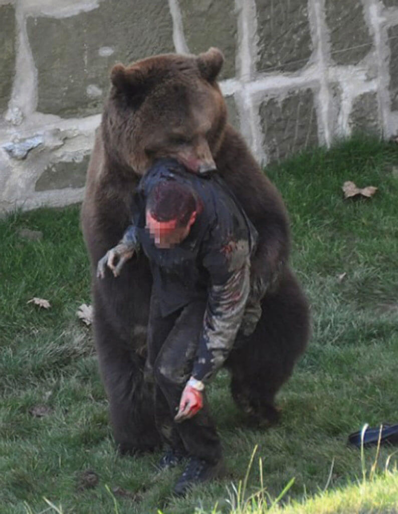 The 11-Year-Old Grizzly Slayer: Elliot Clark and his Remington 870