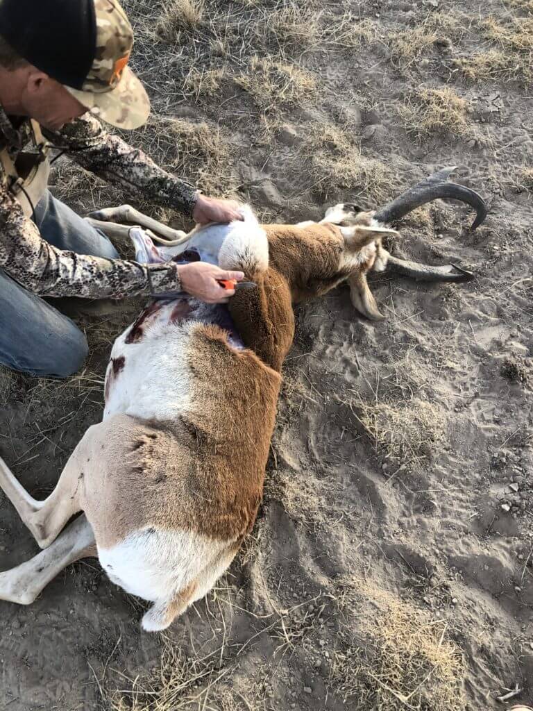 True Grit: Hunter's 2019 Pronghorn