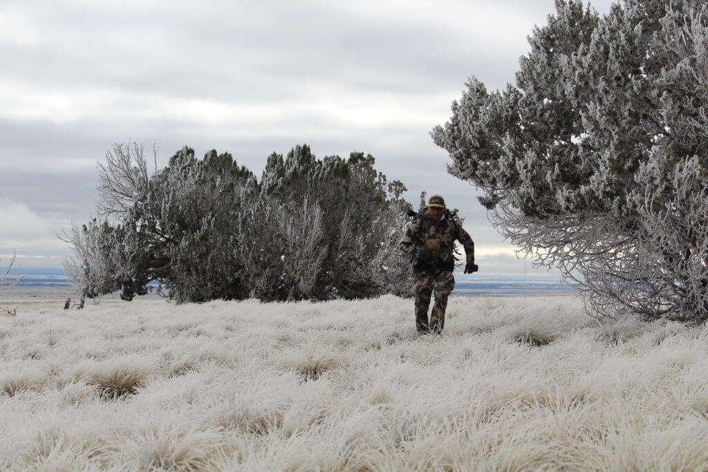 November Mulies? Yes, Please!