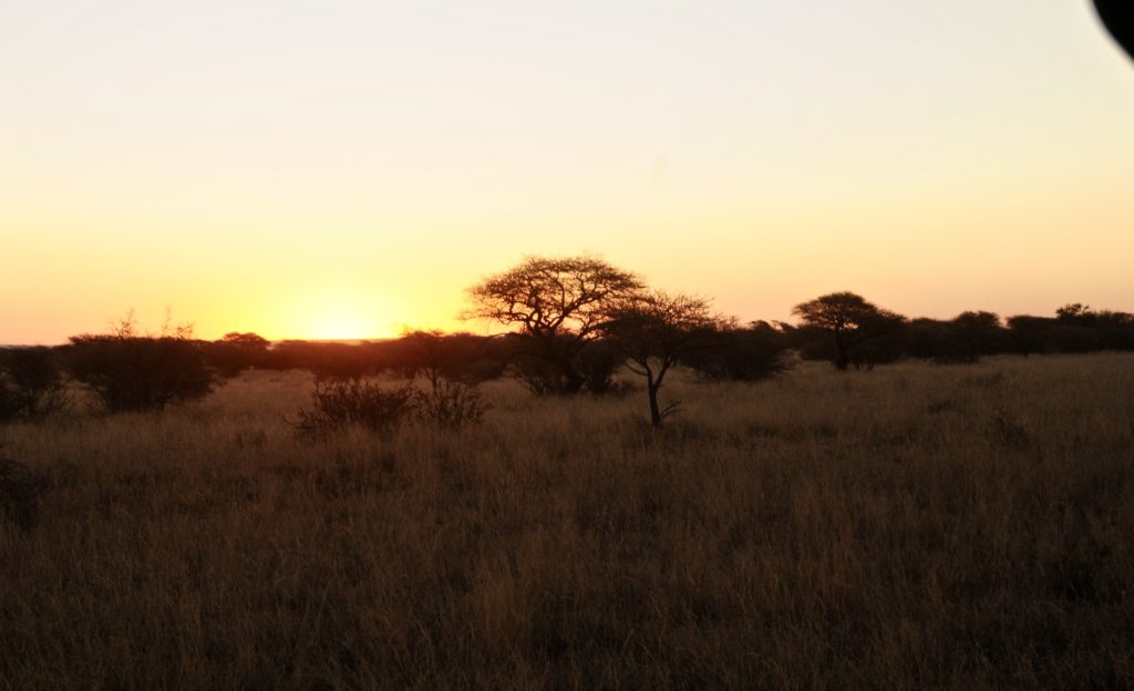 The Affordable Safari; Your African Dream Hunt, Part III