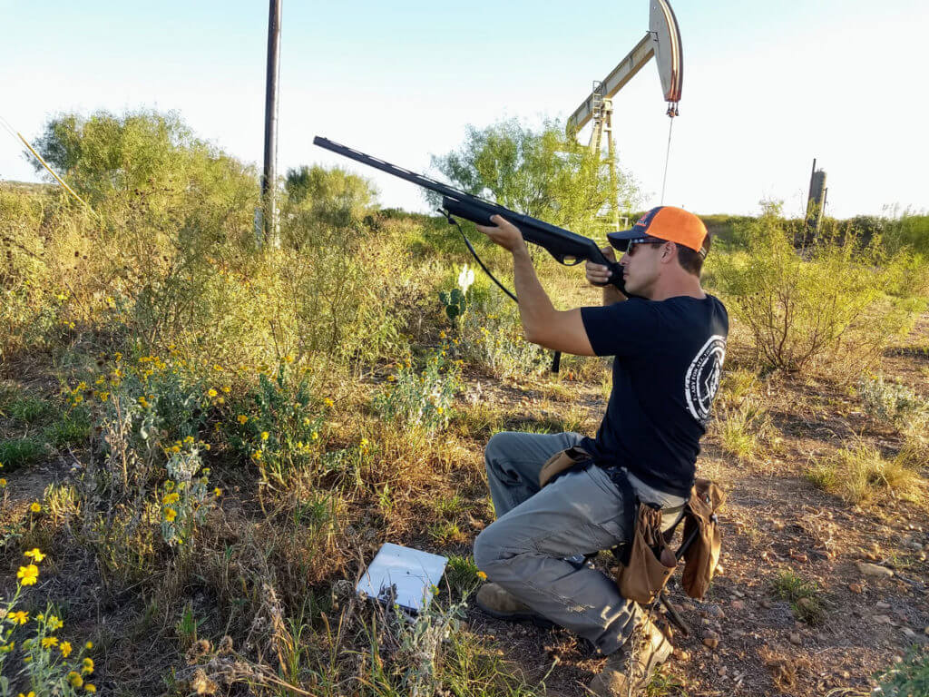 Texas Fall/Winter Dove Hunting Can Be Very Good, Even If You Are a Lousy Dove Hunter!