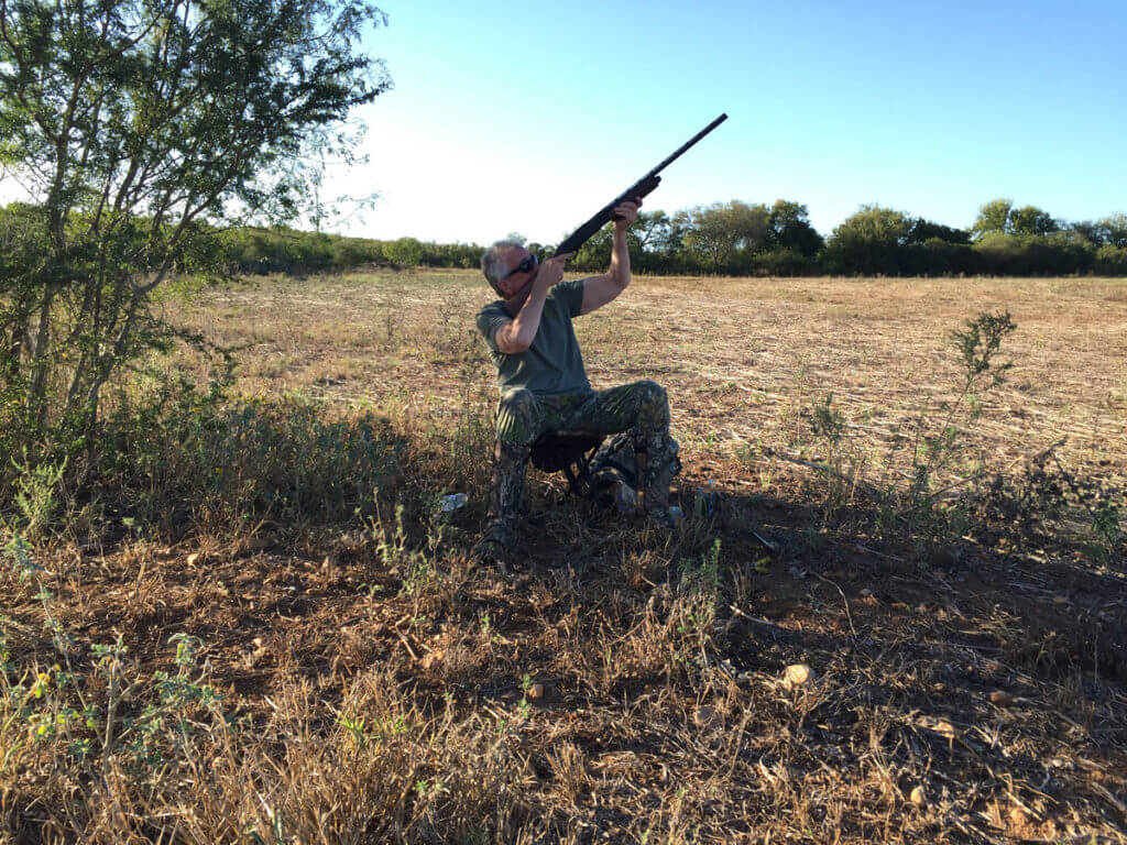 Texas Fall/Winter Dove Hunting Can Be Very Good, Even If You Are a Lousy Dove Hunter!