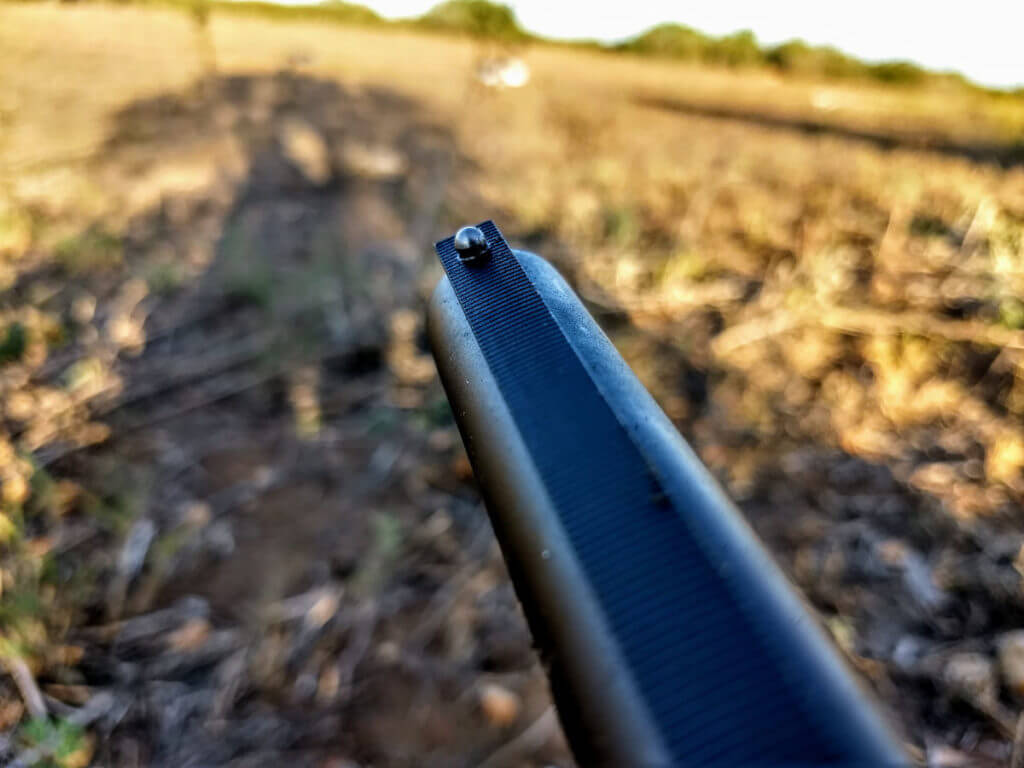 Texas Fall/Winter Dove Hunting Can Be Very Good, Even If You Are a Lousy Dove Hunter!