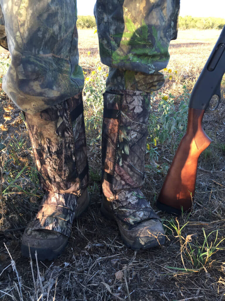 Texas Fall/Winter Dove Hunting Can Be Very Good, Even If You Are a Lousy Dove Hunter!