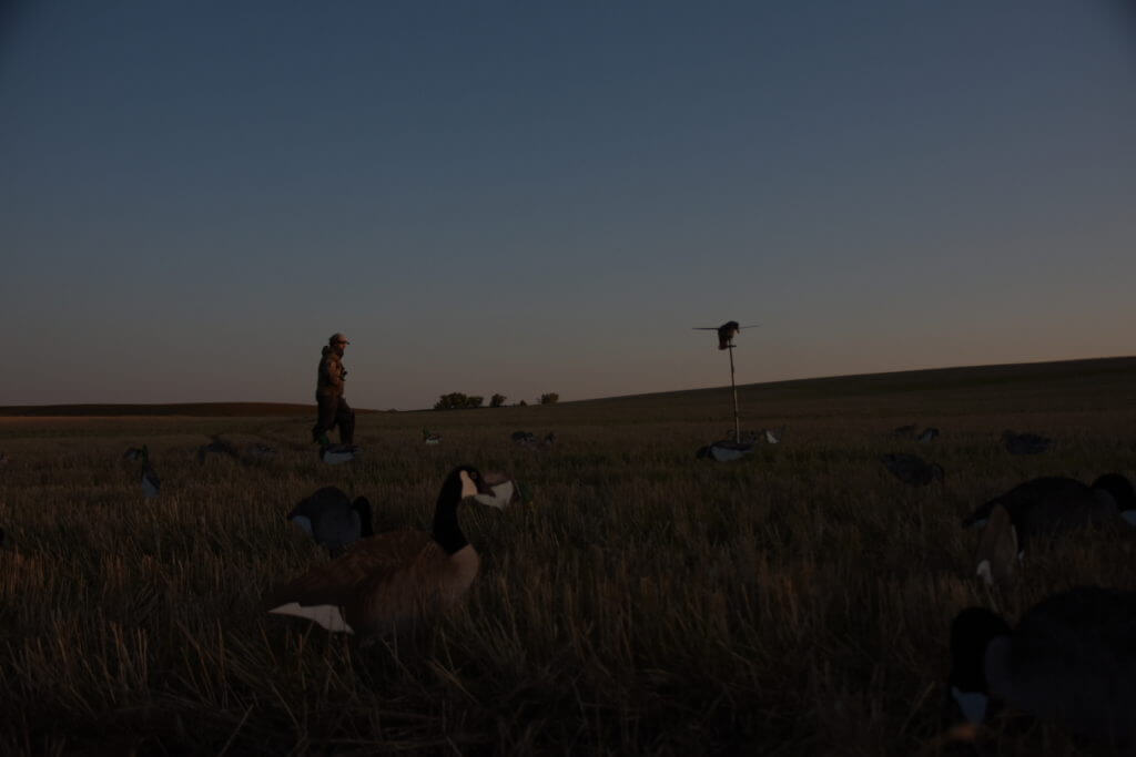 North Dakota Duck Hunt with Savage Arms' New ReneGAUGE Shotgun