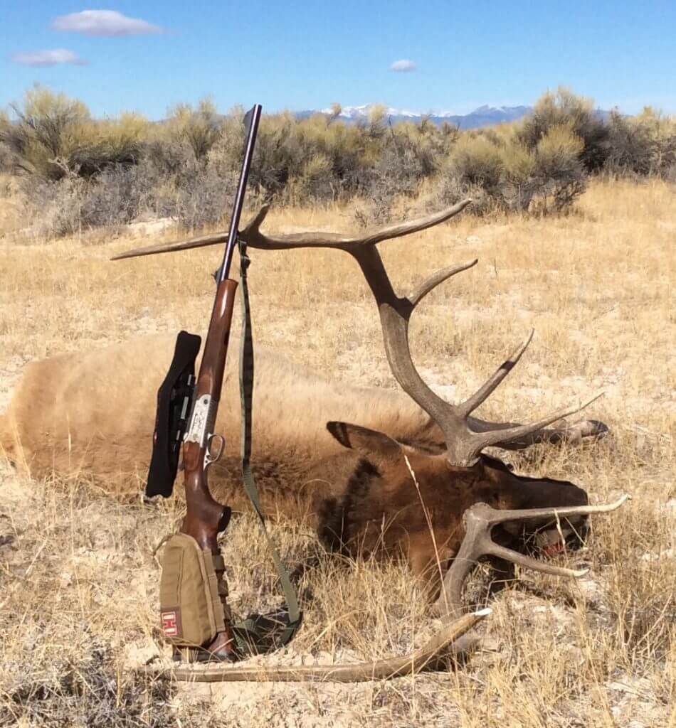 DIY Colorado Elk: My Experience