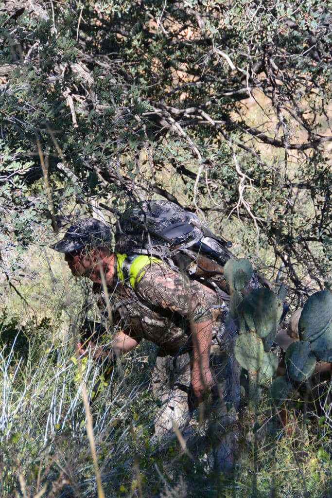 Spot and Stalk A Mule Deer