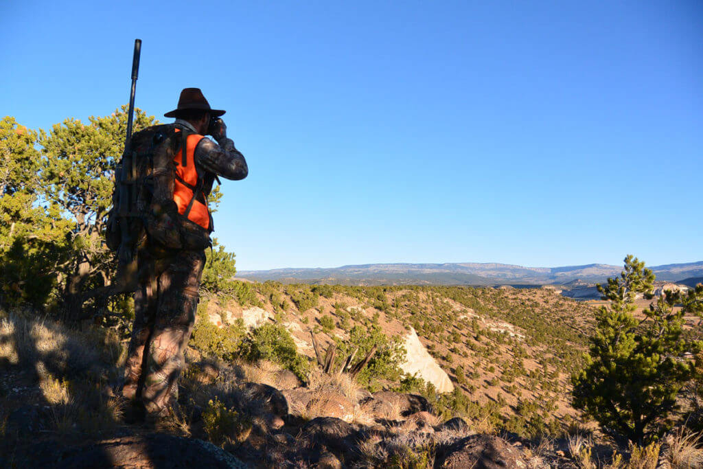 Spot and Stalk A Mule Deer