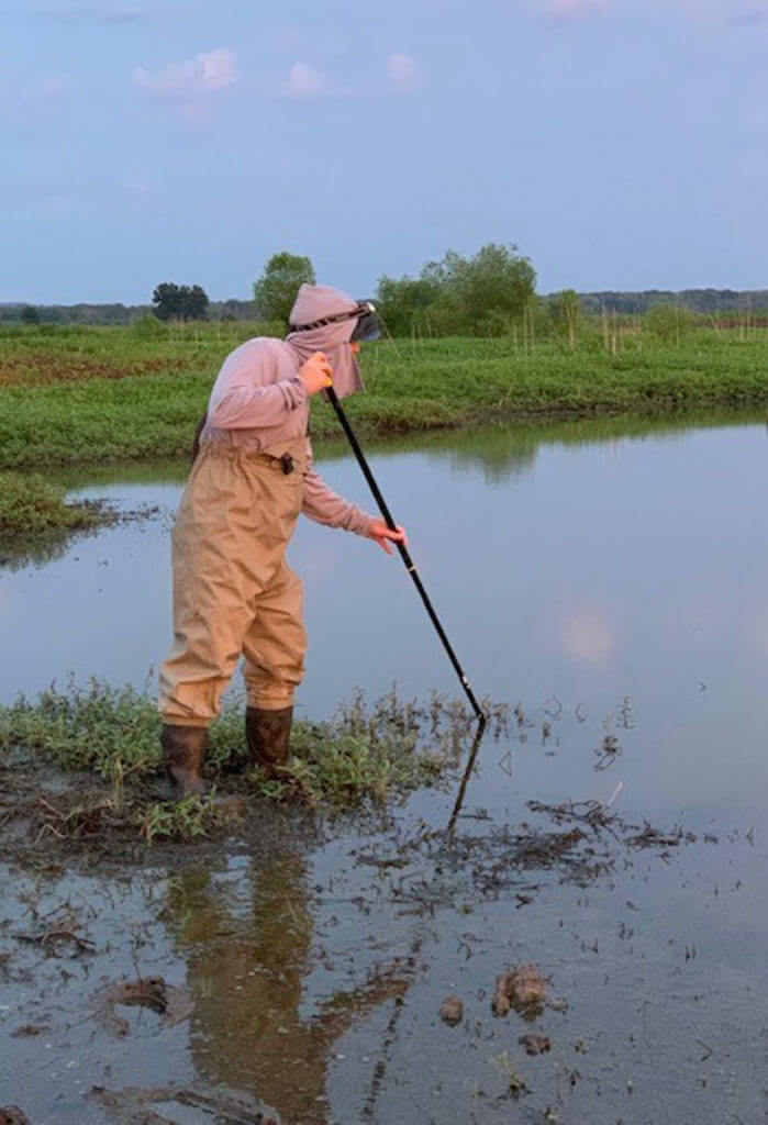 Frog Gigging