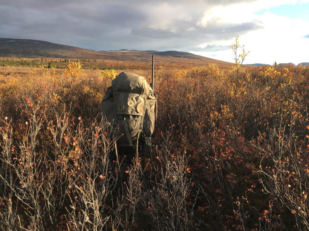 Quick, Fast, and In a Hurry - A Two Day Caribou Hunt