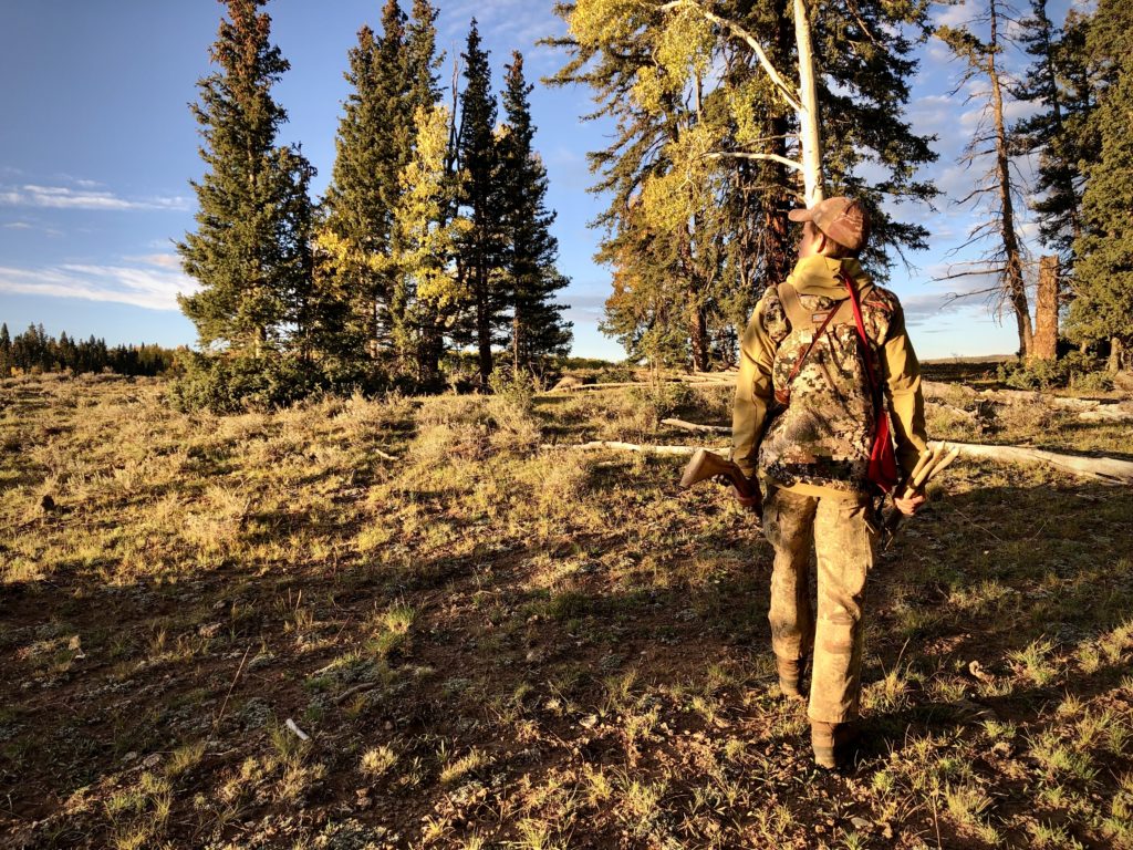 Hunter Stalking in the woods