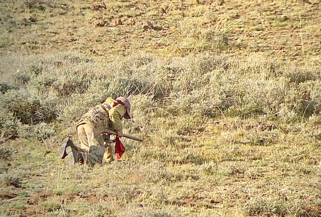 Hunter crawling in sagebrush