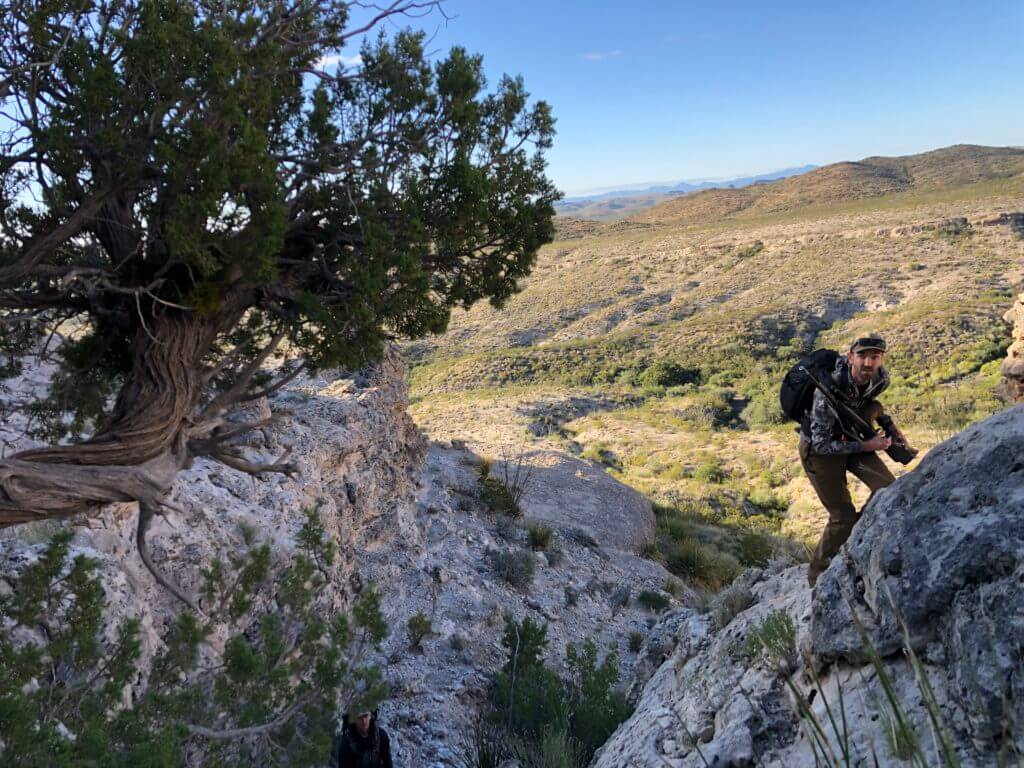 TAKE THE SHOT: AOUDAD FOR TWO