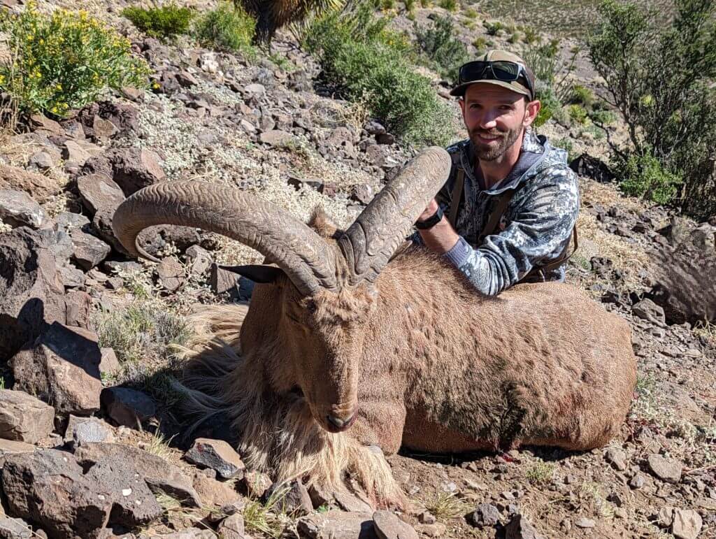 TAKE THE SHOT: AOUDAD FOR TWO