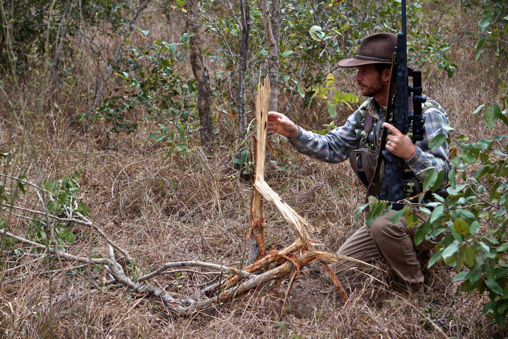 TAKE THE SHOT?: Black Death In The Brush