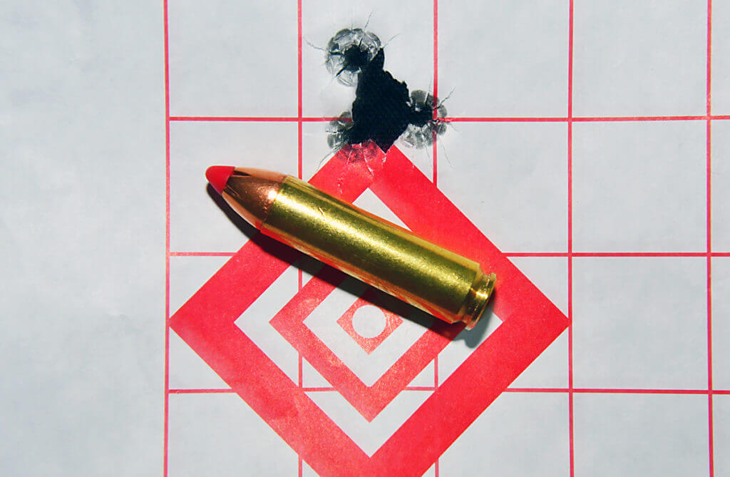 Range test, Hornady Black 250-grain FTX 450 Bushmaster ammo