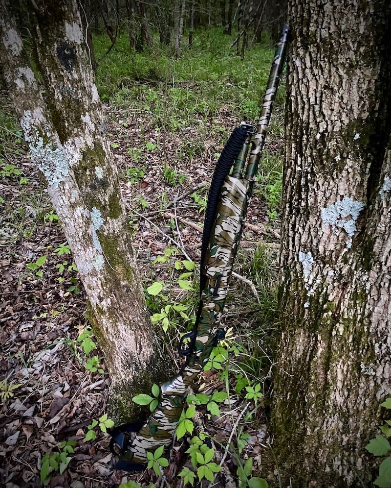 Only the black sling gives away the Optics-Ready Turkey hiding in the woods